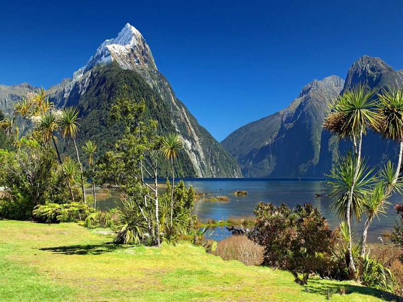 Newzealand