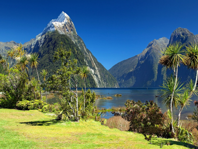 Newzealand